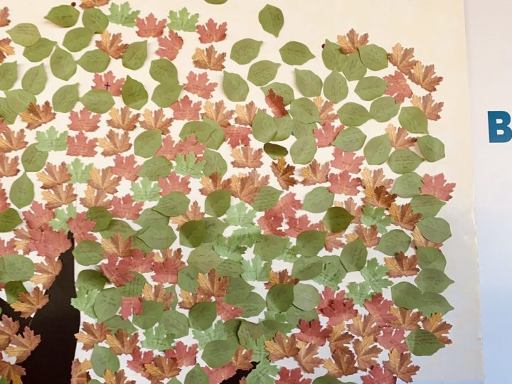 La biblioteca impulsa “L’arbre dels desitjos” a la fira de benvinguda de la Universitat