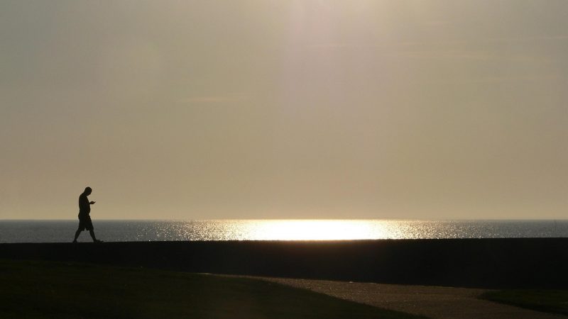 Embobados en la pantalla: la sociedad que dejó de mirarse a los ojos