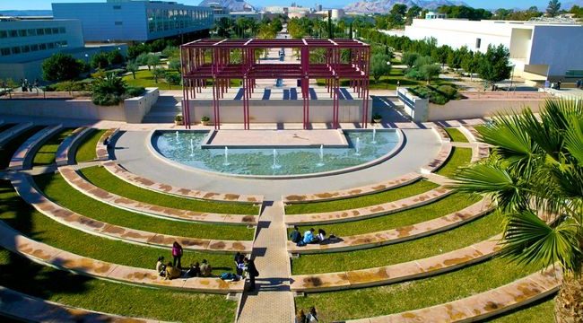 La Universitat d’Alacant ofereix una experiència educativa única